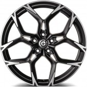 Monster Black Half Matt Polished