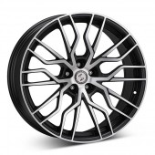 Eta Beta Medusa G.Blk-Pol