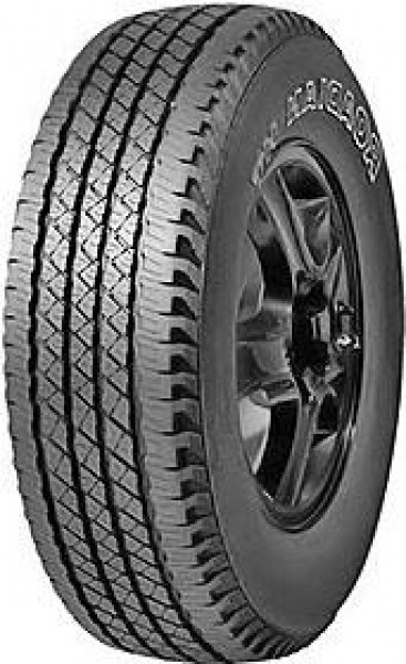 Roadian HT